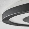 Gelan Plafoniera, Panel, Applique LED Nero, Bianco, 1-Luce