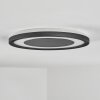 Gelan Plafoniera, Panel, Applique LED Nero, Bianco, 1-Luce