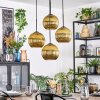 Koyoto Lampadario a sospensione, Lampada a sfera, Lampada a sospensione a cluster Oro, 4-Luci