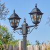 Naofe Lampione multibraccia, Illuminazione viale Nero, 2-Luci