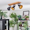 Hagan Plafoniera, Faretto da soffitto Écru, Nero, 3-Luci