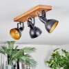 Hagan Plafoniera, Faretto da soffitto Écru, Nero, 3-Luci