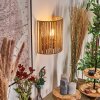 Colmeal Lampade Up & Down, Applique Nero, 1-Luce