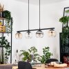 Koyoto Lampadario a sospensione, Lampada a sfera, Lampada a sospensione Ambrato, Chiaro, Grigio fumo, 4-Luci