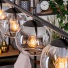 Koyoto Lampadario a sospensione, Lampada a sfera, Lampada a sospensione Ambrato, Chiaro, Grigio fumo, 4-Luci