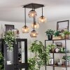Koyoto Plafoniera, Lampada a sfera Ambrato, Chiaro, Grigio fumo, 5-Luci