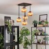 Koyoto Plafoniera, Lampada a sfera Ambrato, 5-Luci