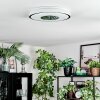 Loron Plafoniera, Panel LED Argento, Bianco, 1-Luce