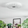 Luvan Plafoniera LED Bianco, 1-Luce
