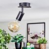 Geira Plafoniera, Faretto da soffitto, Faretto da parete Nero, 1-Luce