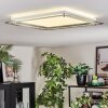 Ipres Plafoniera, Panel LED Argento, Bianco, 1-Luce