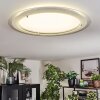 Ipres Plafoniera, Panel LED Argento, Bianco, 1-Luce