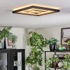 Ilyan Plafoniera, Panel LED Nero, 1-Luce