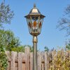 Hongkong Lampione multibraccia, Illuminazione viale Marrone, Oro, 1-Luce