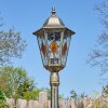 Hongkong Lampione multibraccia, Illuminazione viale Marrone, Oro, 1-Luce