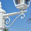Naofe Lampione multibraccia, Illuminazione viale Bianco, 2-Luci