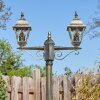 Naofe Lampione multibraccia, Illuminazione viale Marrone, Oro, 2-Luci