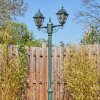 Naofe Lampione multibraccia, Illuminazione viale Verde, Nero, 2-Luci