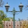 Naofe Lampione multibraccia, Illuminazione viale Verde, Nero, 2-Luci