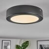Isela Plafoniera, Panel LED Nero, 1-Luce