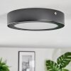 Isela Plafoniera, Panel LED Nero, 1-Luce