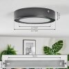 Isela Plafoniera, Panel LED Nero, 1-Luce