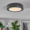 Isela Plafoniera, Panel LED Nero, 1-Luce