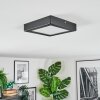 Isela Plafoniera, Panel LED Nero, 1-Luce