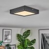 Isela Plafoniera, Panel LED Nero, 1-Luce