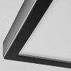 Isela Plafoniera, Panel LED Nero, 1-Luce