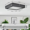 Isela Plafoniera, Panel LED Nero, 1-Luce
