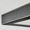 Isela Plafoniera, Panel LED Nero, 1-Luce