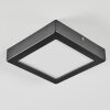 Isela Plafoniera, Panel LED Nero, 1-Luce