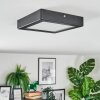 Isela Plafoniera, Panel LED Nero, 1-Luce