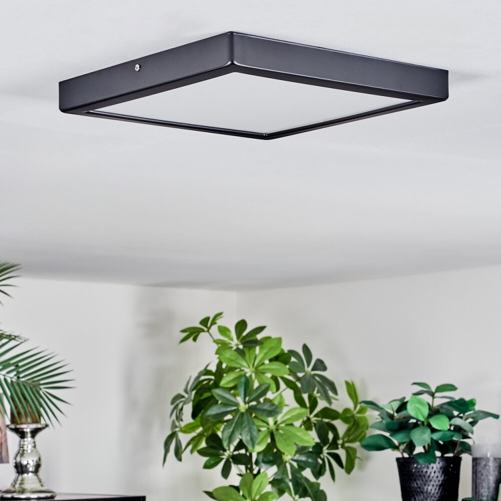 Isela Plafoniera, Panel LED Nero, 1-Luce