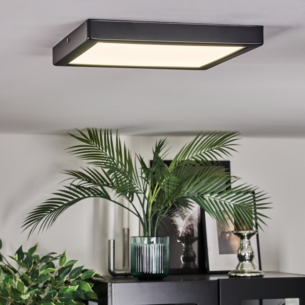 Isela Plafoniera, Panel LED Nero, 1-Luce
