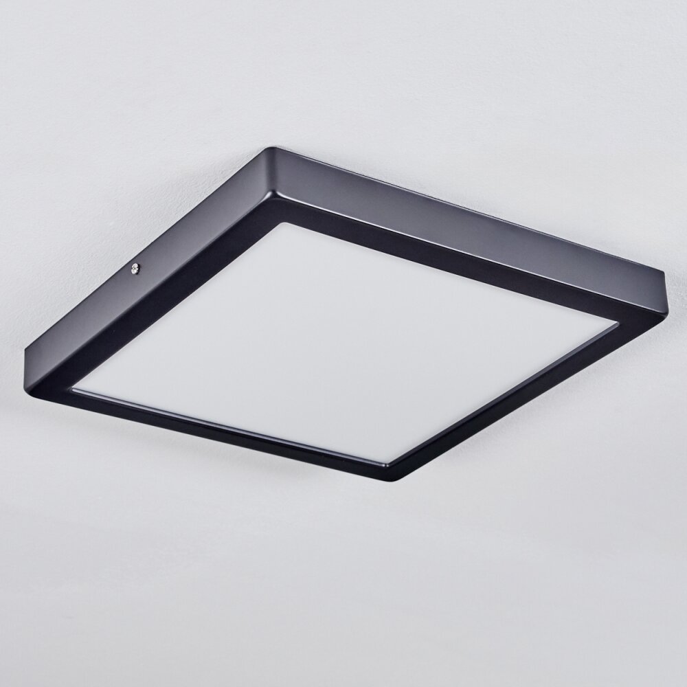 Isela Plafoniera, Panel LED Nero, 1-Luce
