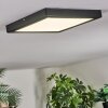 Isela Plafoniera, Panel LED Nero, 1-Luce