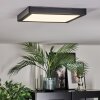 Isela Plafoniera, Panel LED Nero, 1-Luce