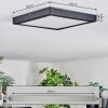 Isela Plafoniera, Panel LED Nero, 1-Luce