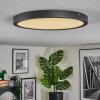Isela Plafoniera, Panel LED Nero, 1-Luce