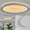Xarel Plafoniera, Panel LED Bianco, 1-Luce