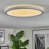Xarel Plafoniera, Panel LED Bianco, 1-Luce