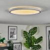 Xarel Plafoniera, Panel LED Bianco, 1-Luce