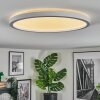 Xarel Plafoniera, Panel LED Bianco, 1-Luce