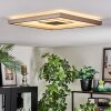 Ilion Plafoniera, Panel LED Nichel opaco, Bianco, 1-Luce