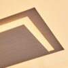Ilion Plafoniera, Panel LED Nichel opaco, Bianco, 1-Luce