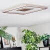 Ilion Plafoniera, Panel LED Nichel opaco, Bianco, 1-Luce