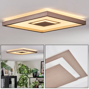 Ilion Plafoniera, Panel LED Nichel opaco, Bianco, 1-Luce