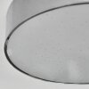 Elmar Plafoniera, Panel LED Argento, 1-Luce